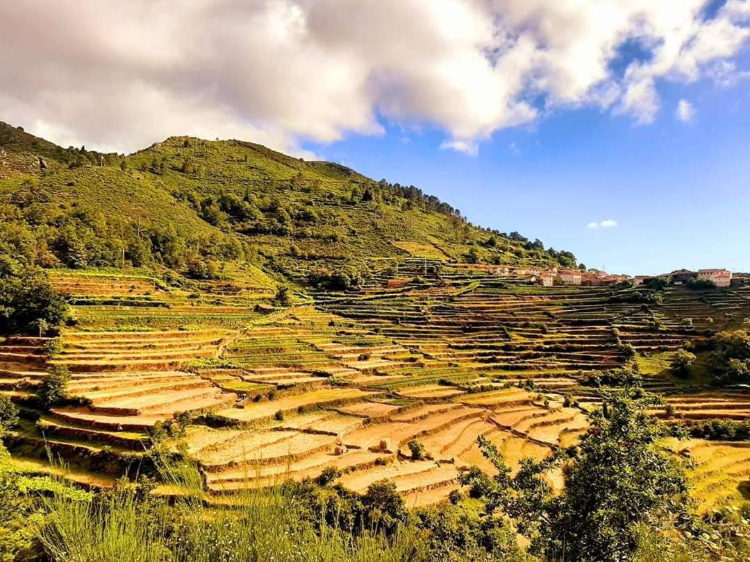 Holiday home Casa Da Fichua Sistelo