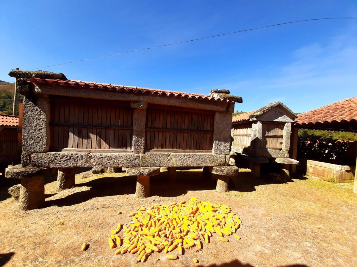 Holiday home Casa Da Fichua