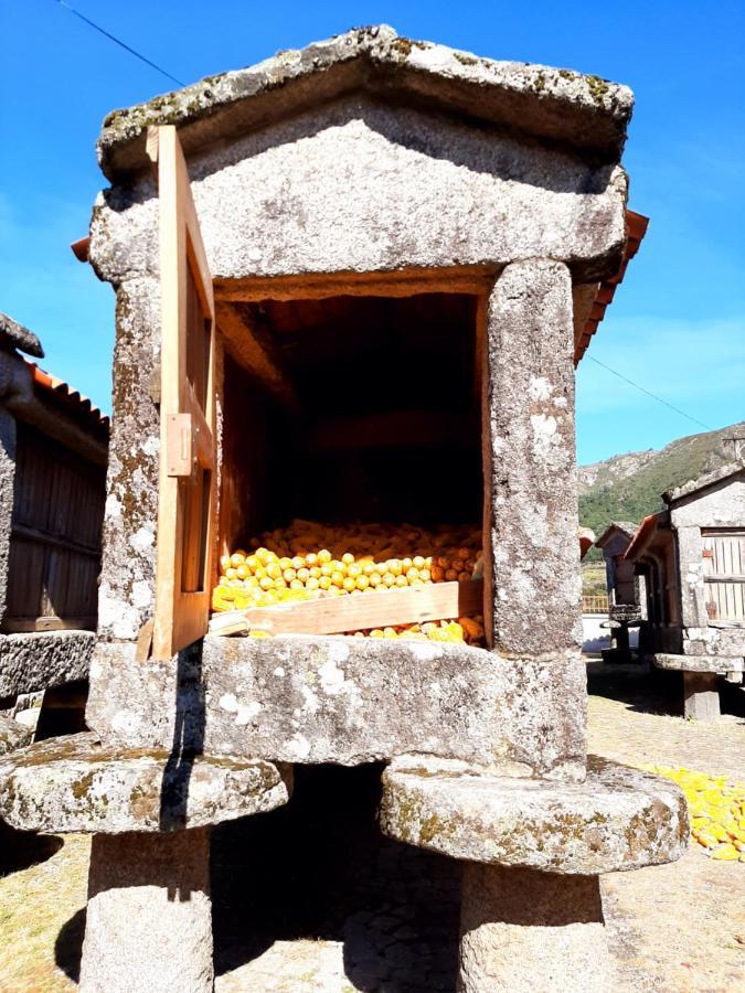 Casa Da Fichua Holiday home *